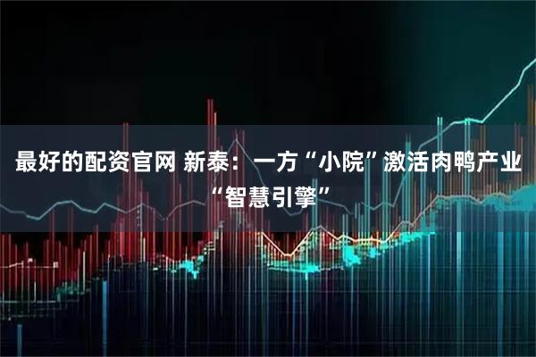最好的配资官网 新泰：一方“小院”激活肉鸭产业“智慧引擎”