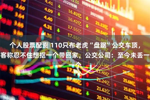 个人股票配资 110只布老虎“盘踞”公交车顶，游客称忍不住想抠一个带回家，公交公司：至今未丢一个