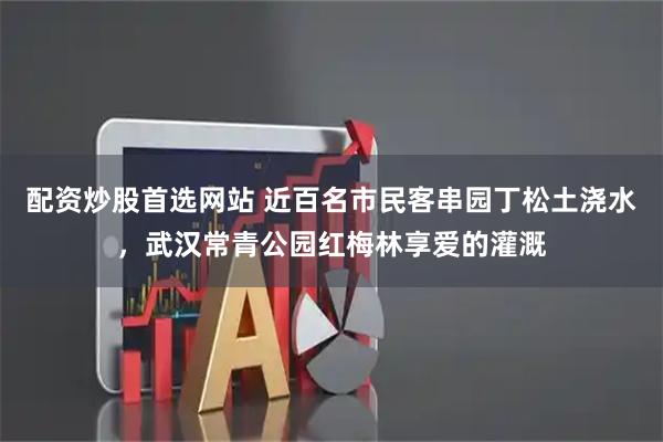 配资炒股首选网站 近百名市民客串园丁松土浇水，武汉常青公园红梅林享爱的灌溉