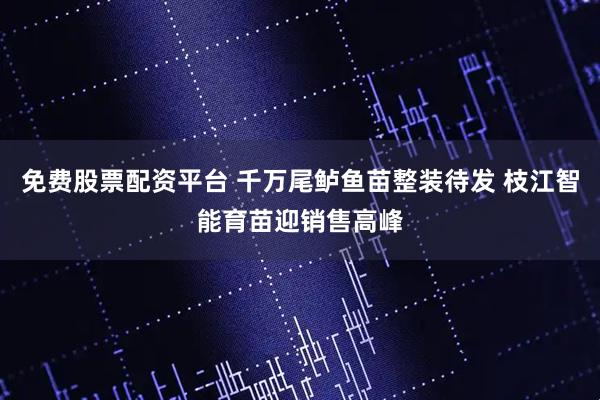 免费股票配资平台 千万尾鲈鱼苗整装待发 枝江智能育苗迎销售高峰